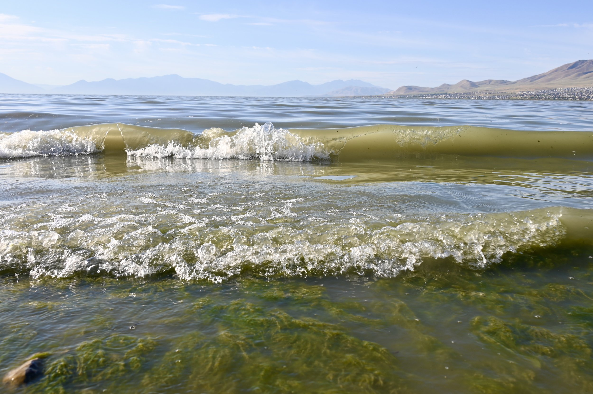 Wave Close Up Utah Lake North Shore 2023.jpg