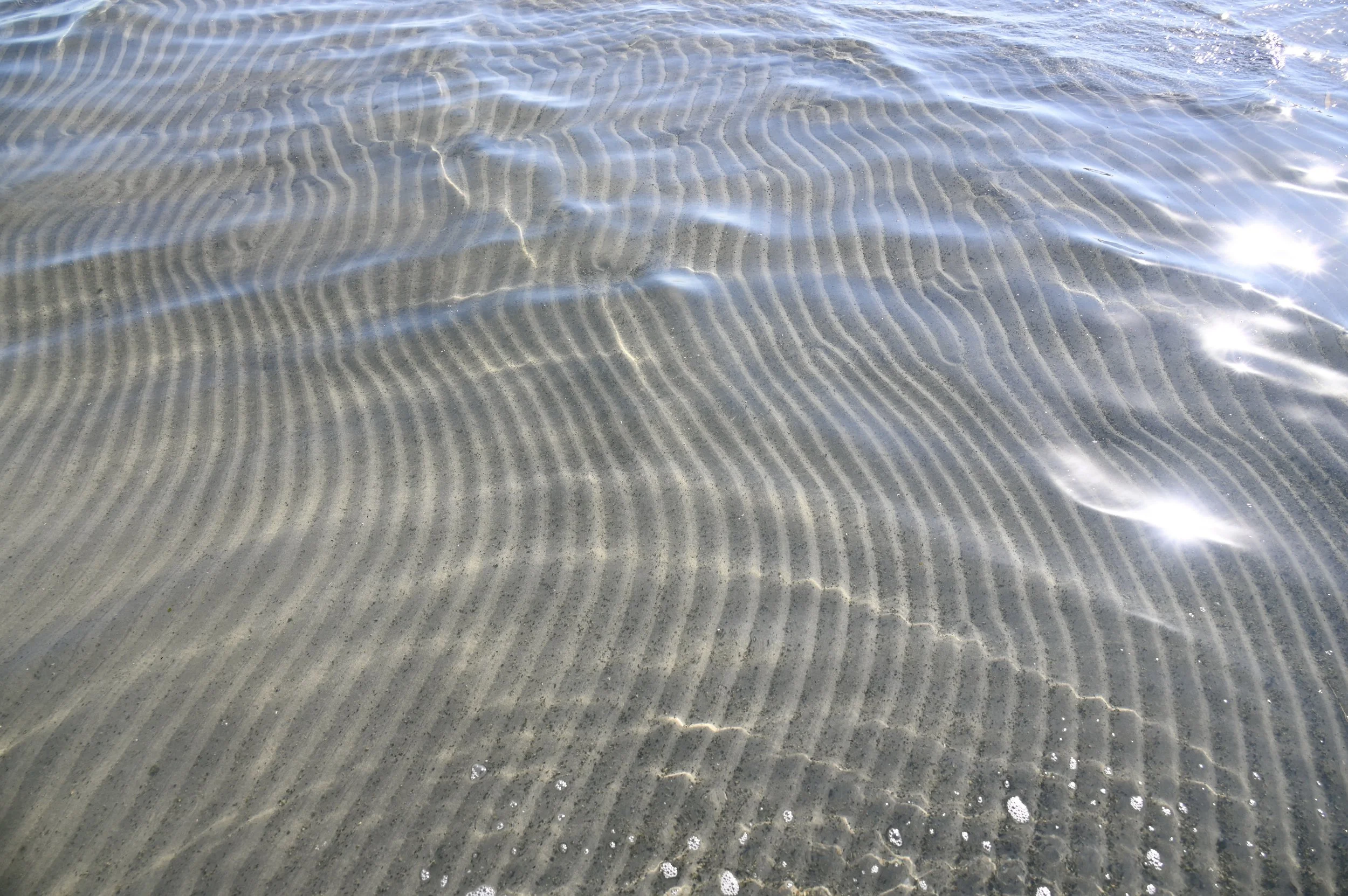 Ripples Close GSL July 2023 Teri Lyn Harman.jpg