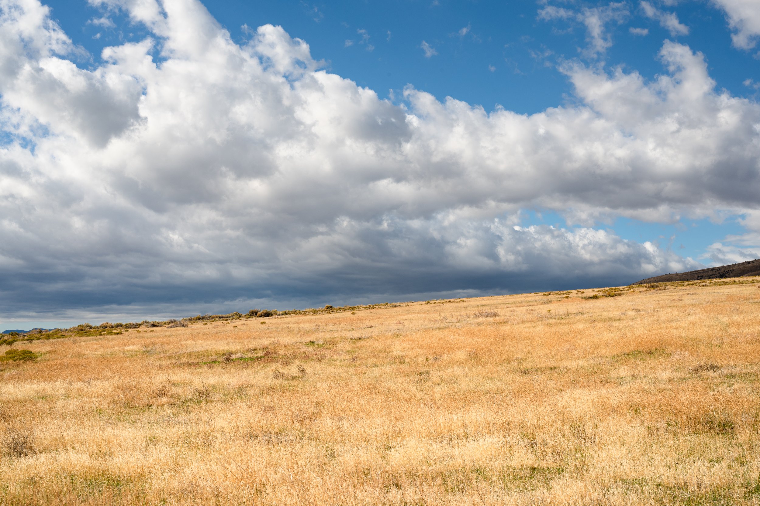 SW Shore Hill Clouds Teri Harman 2025.jpg