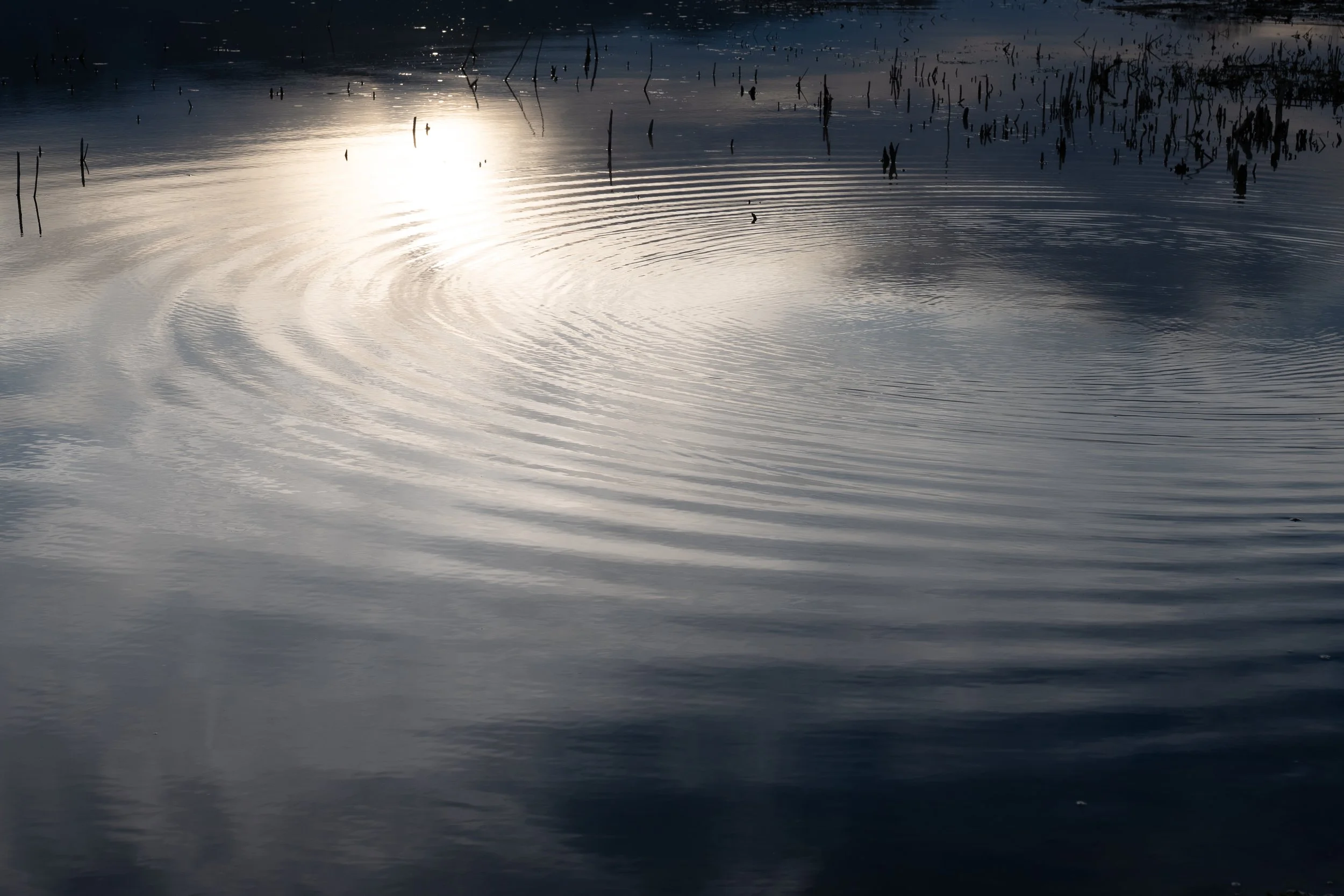 HS sunset water light best ripple Teri Harman 2025.jpg