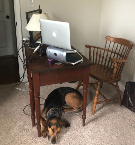 WFH Best Practices