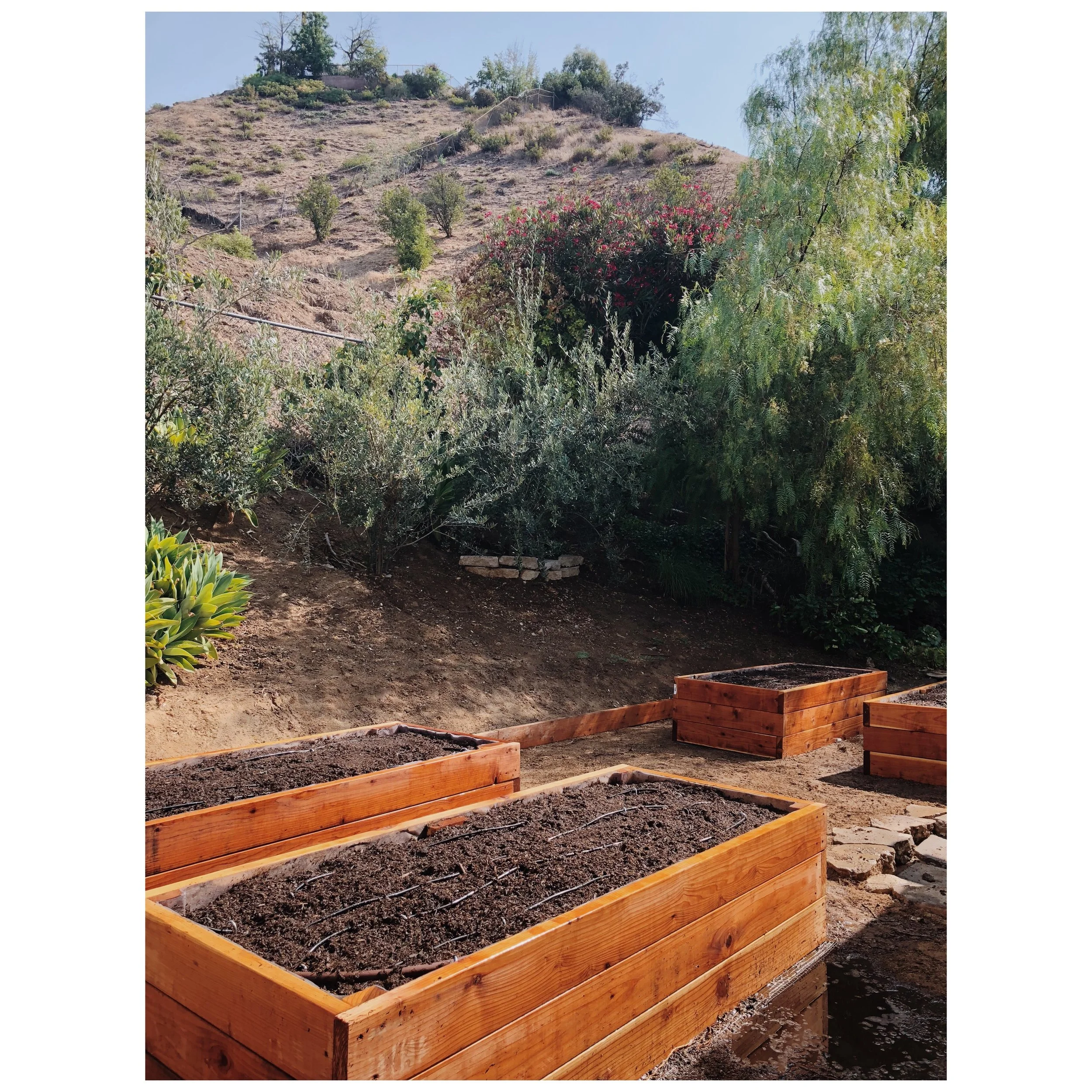 benedict canyon beds .jpeg