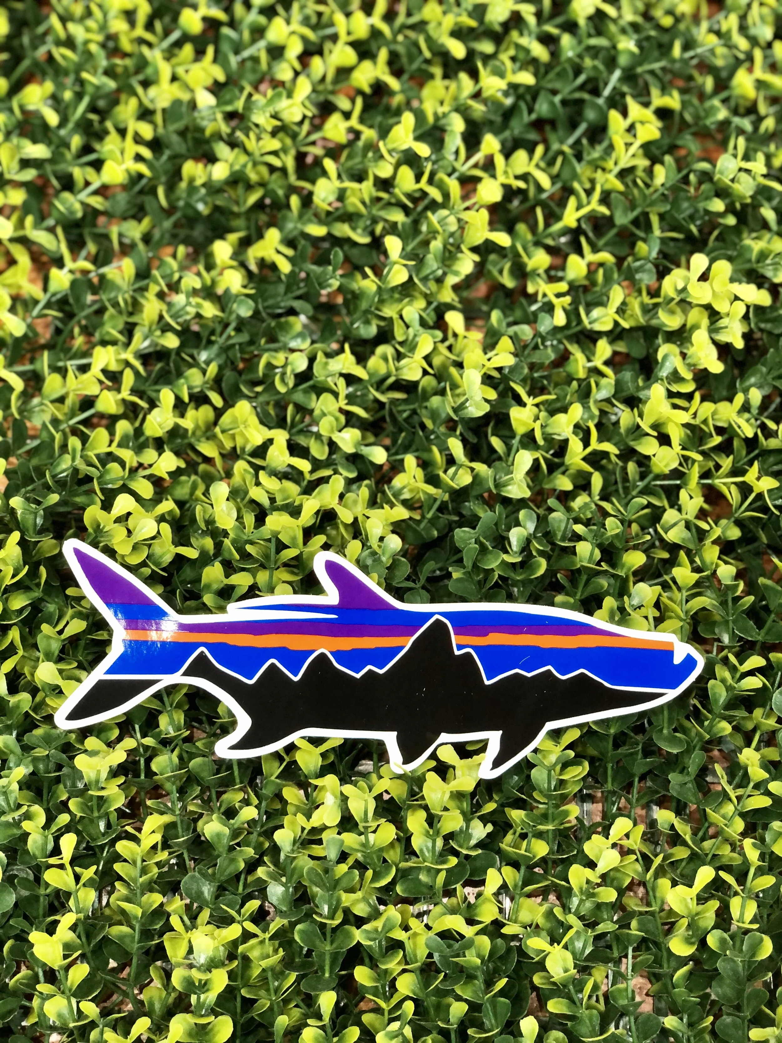 patagonia fitz roy tarpon