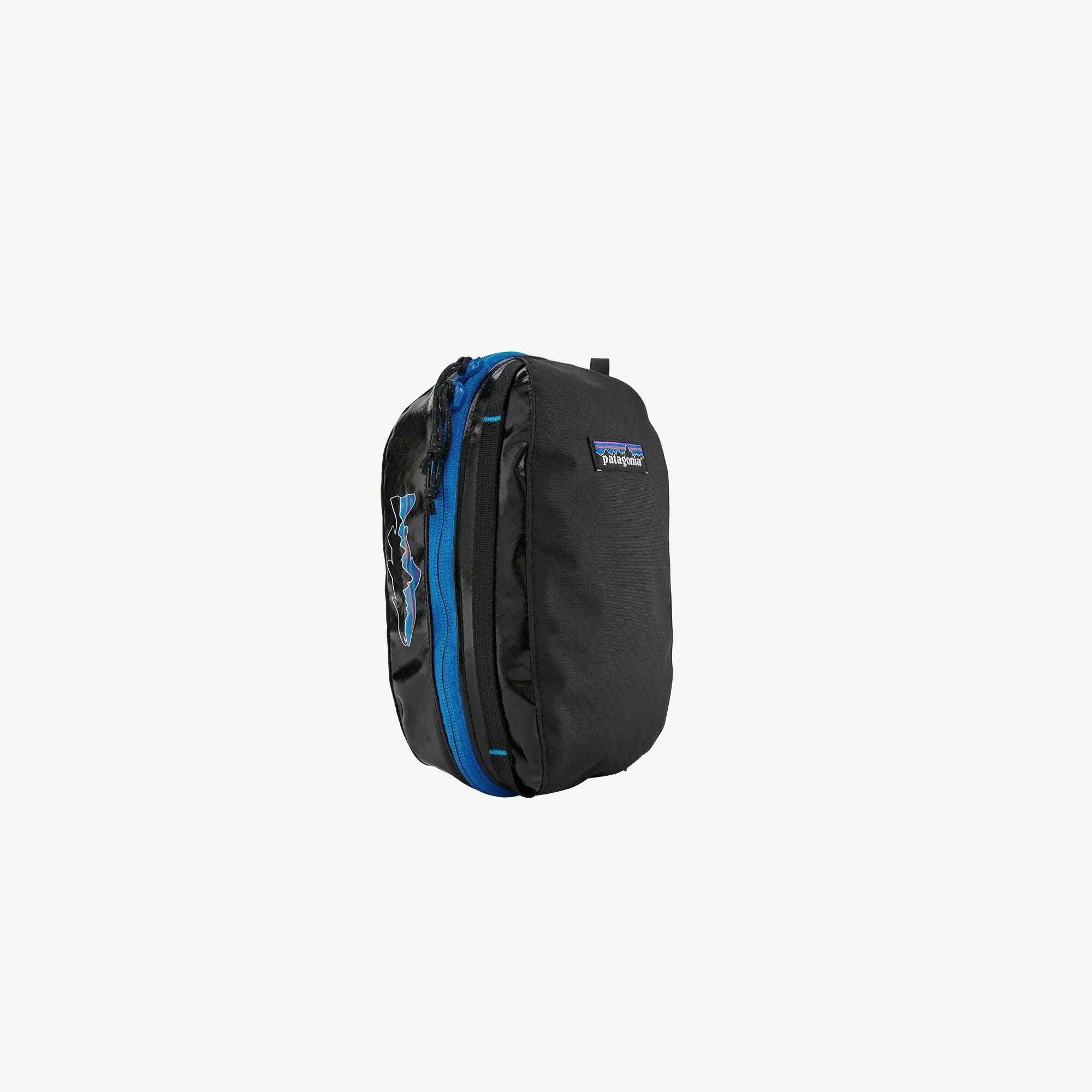 Patagonia Black Hole Cube 2L Small 