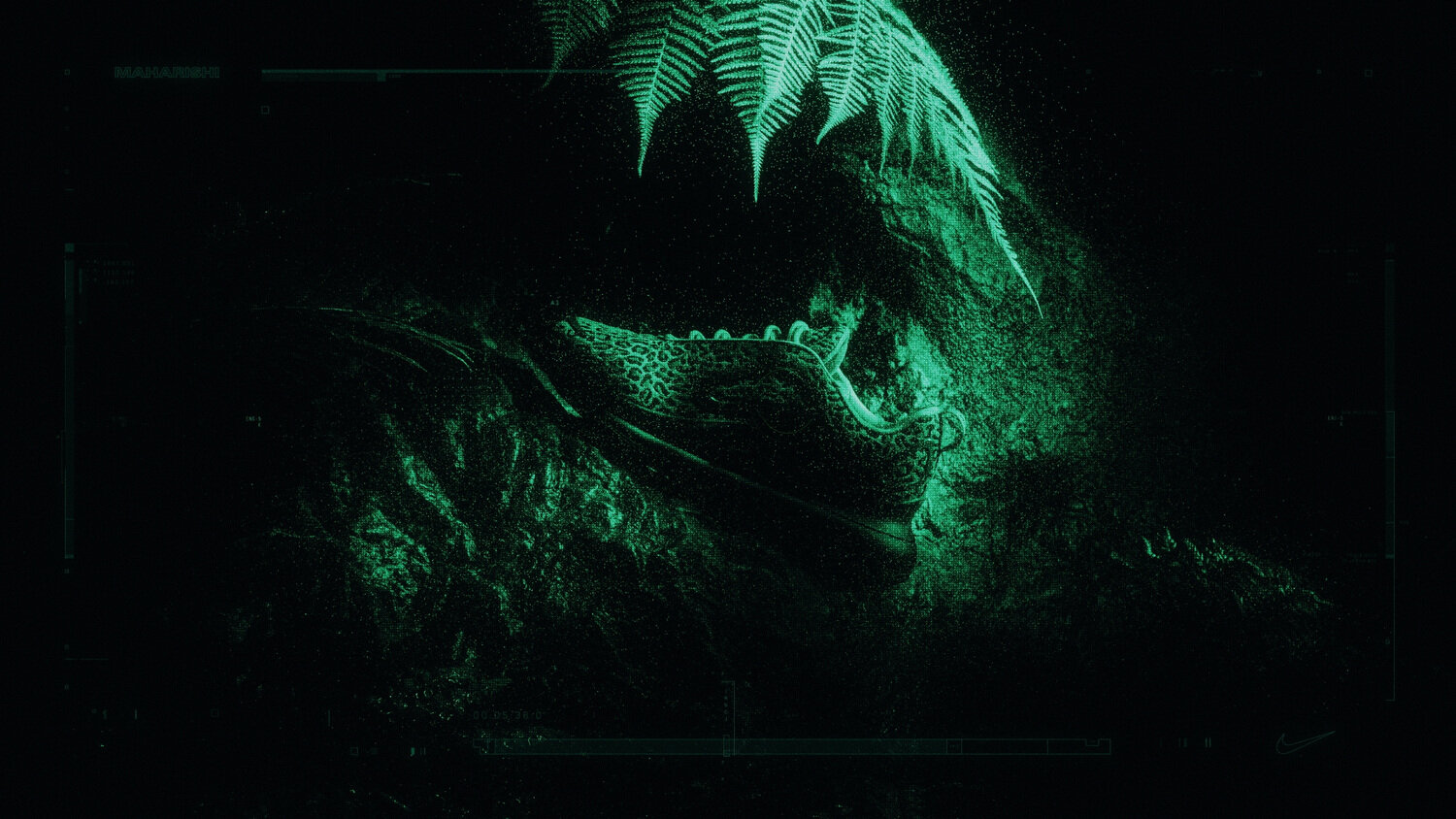 NightVision2.jpg