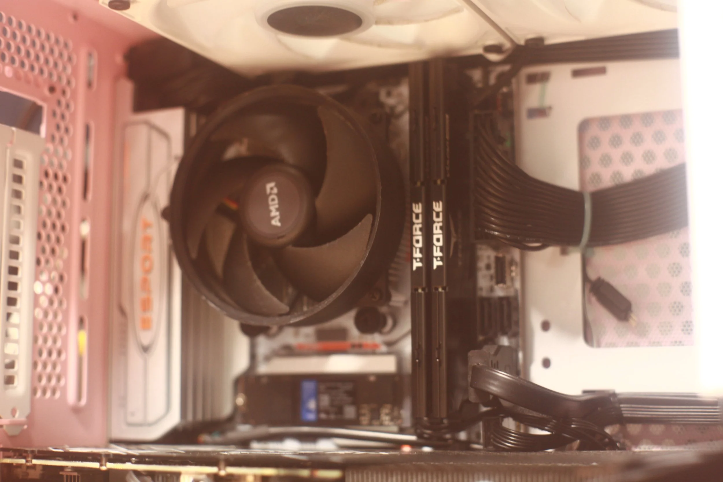 Pink Domna - Internals1