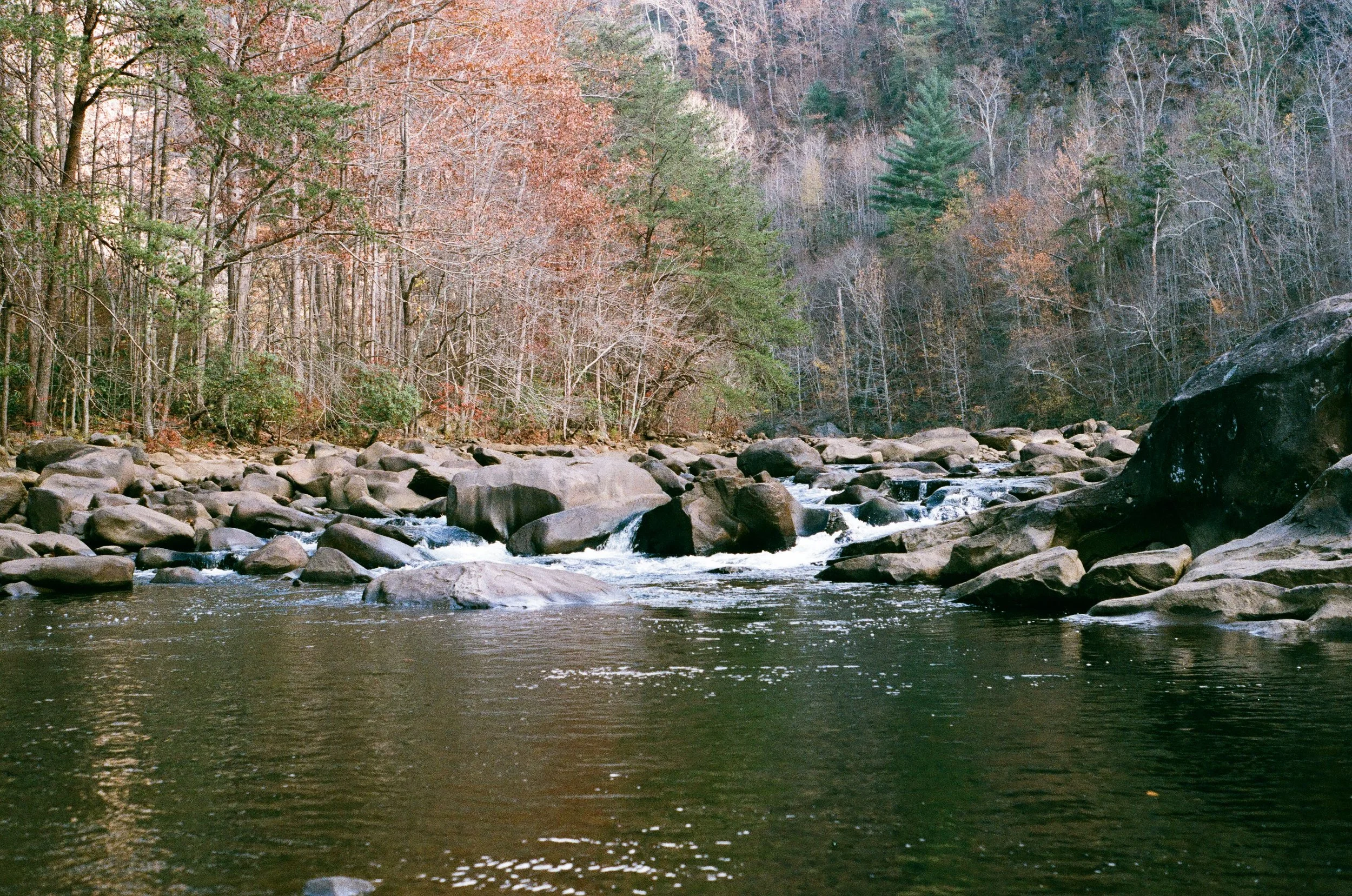 North Georgia, 2016.