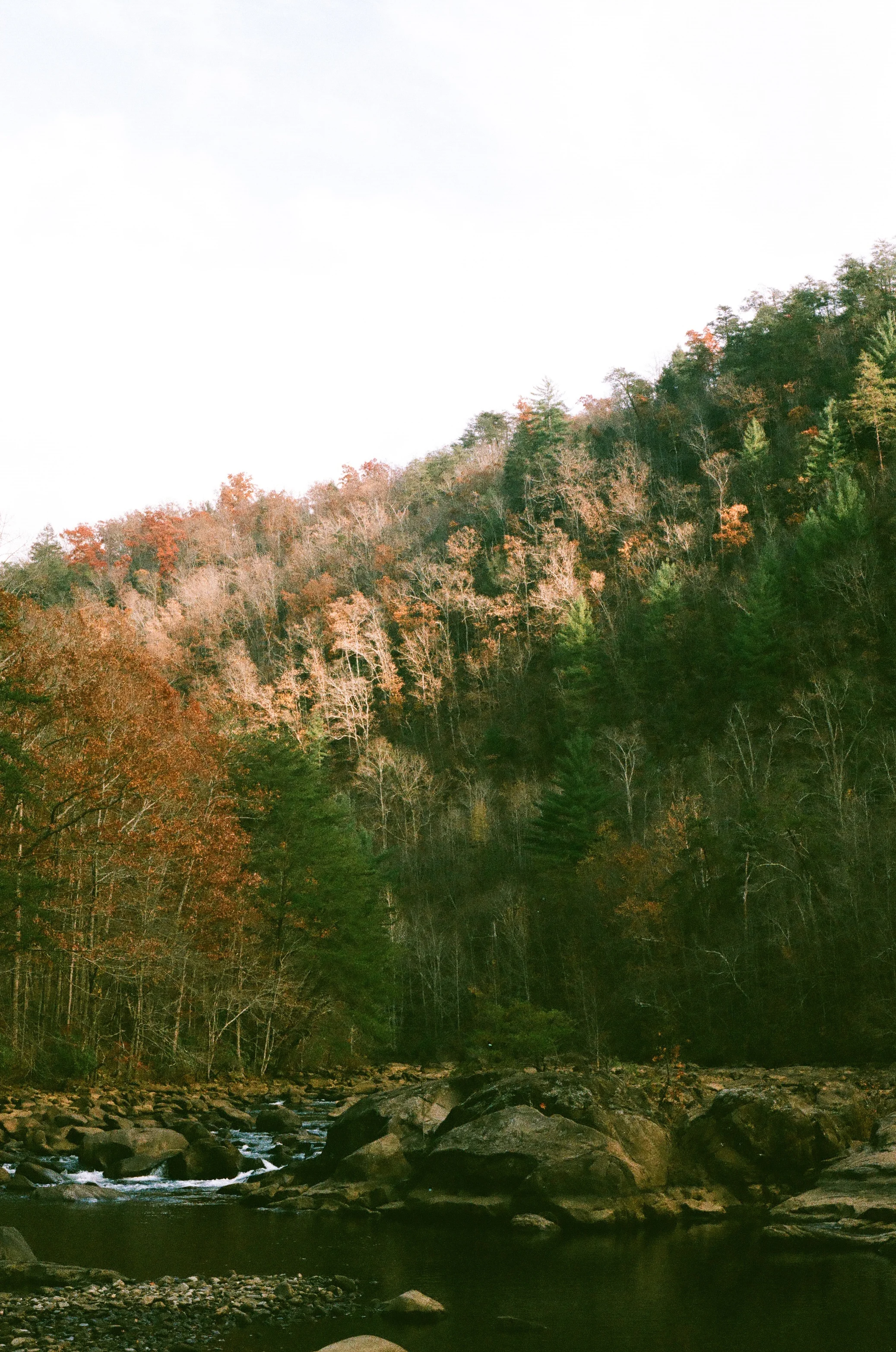 North Georgia, 2016.