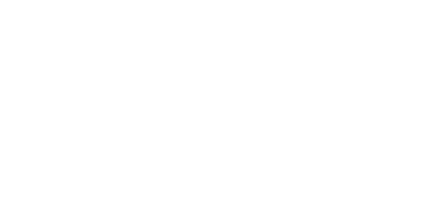 AJ LEE and BLUE SUMMIT