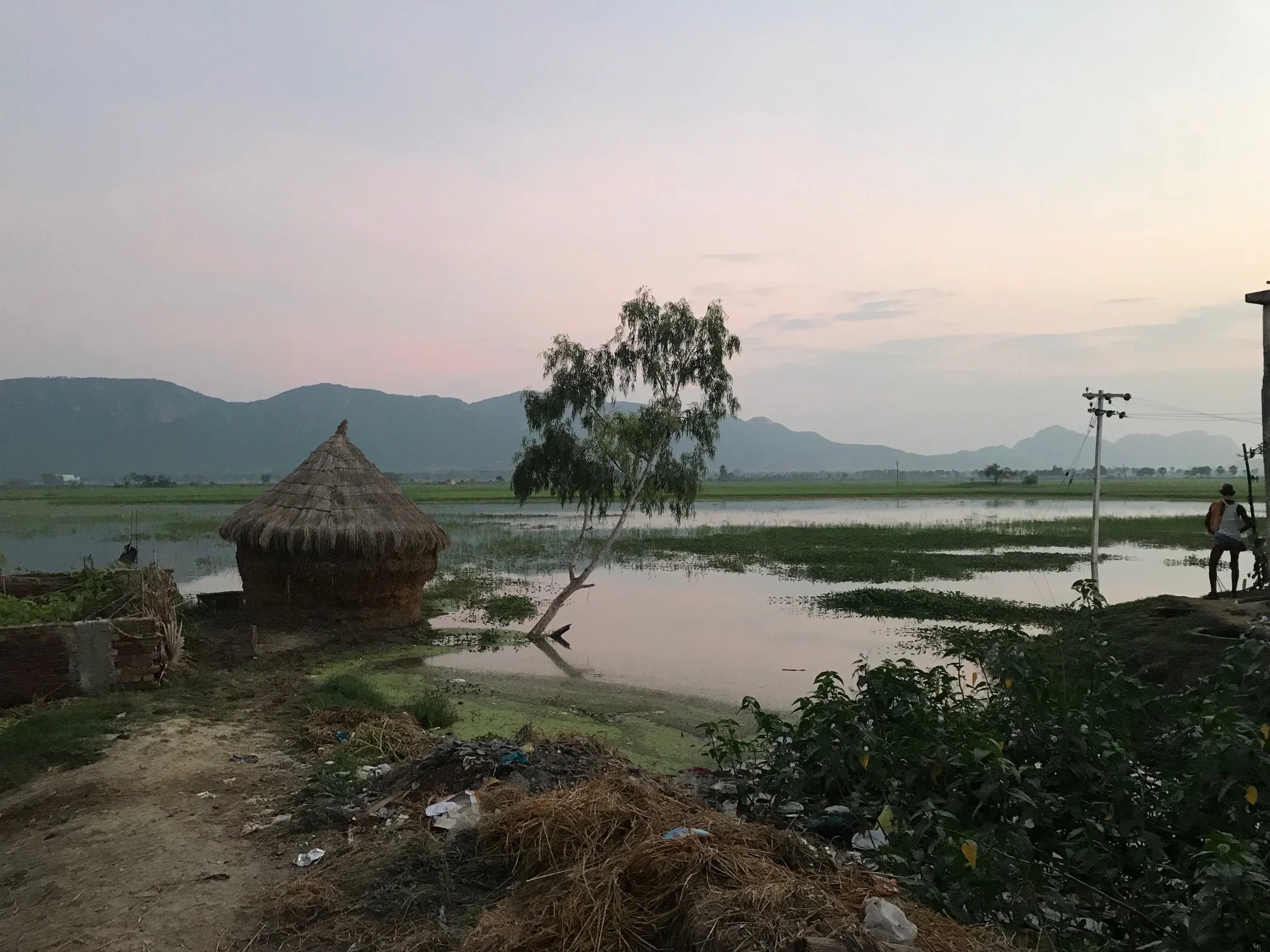 Inundated fields are a seasonal problem for farmers in Bihar, India.