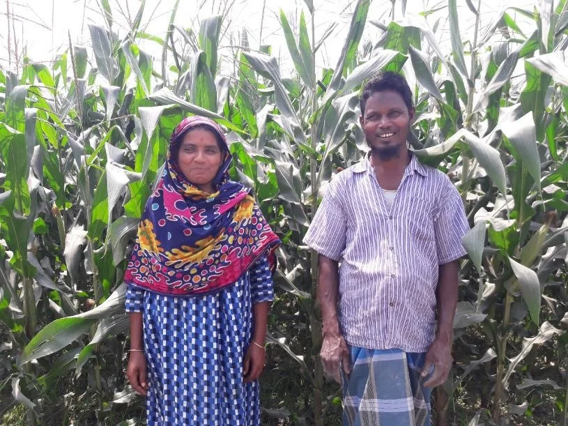 Anzuma Begam and her husband with their maize crop.
