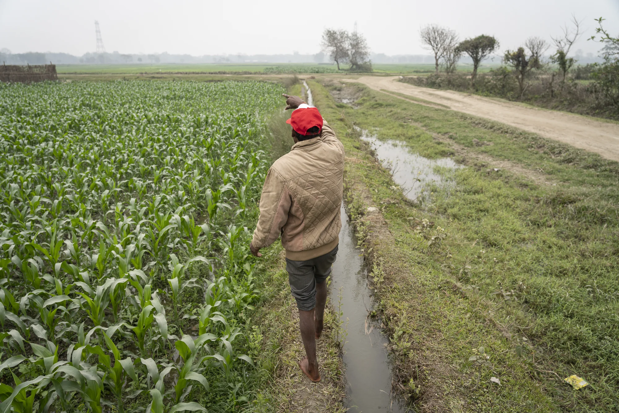 How will the new federal structure affect irrigation and agriculture at the local level?
