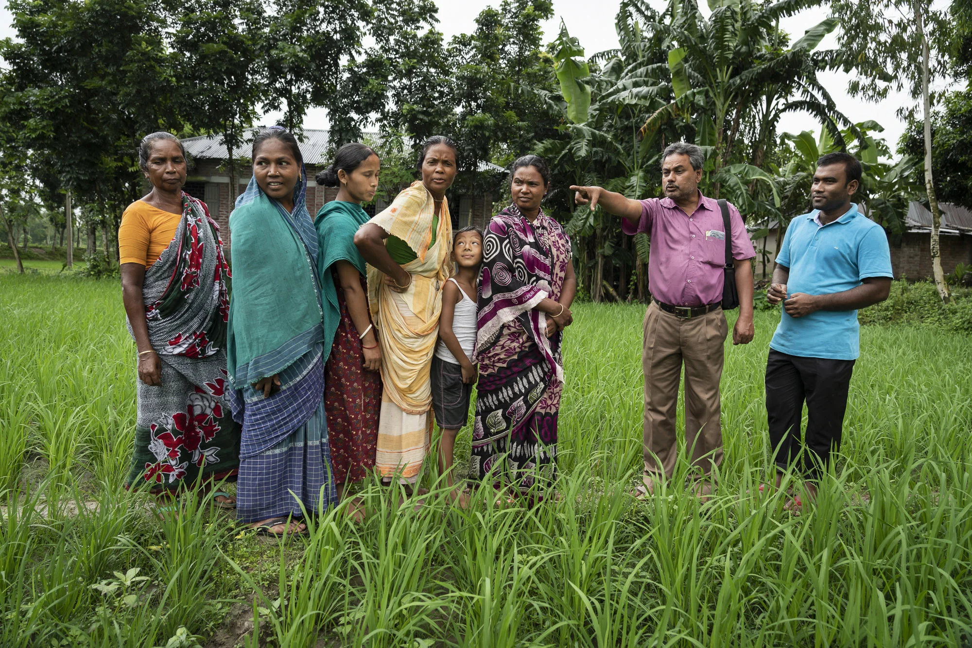 A Department of Agriculture Extension officer points out a pest infestation in a rice crop.