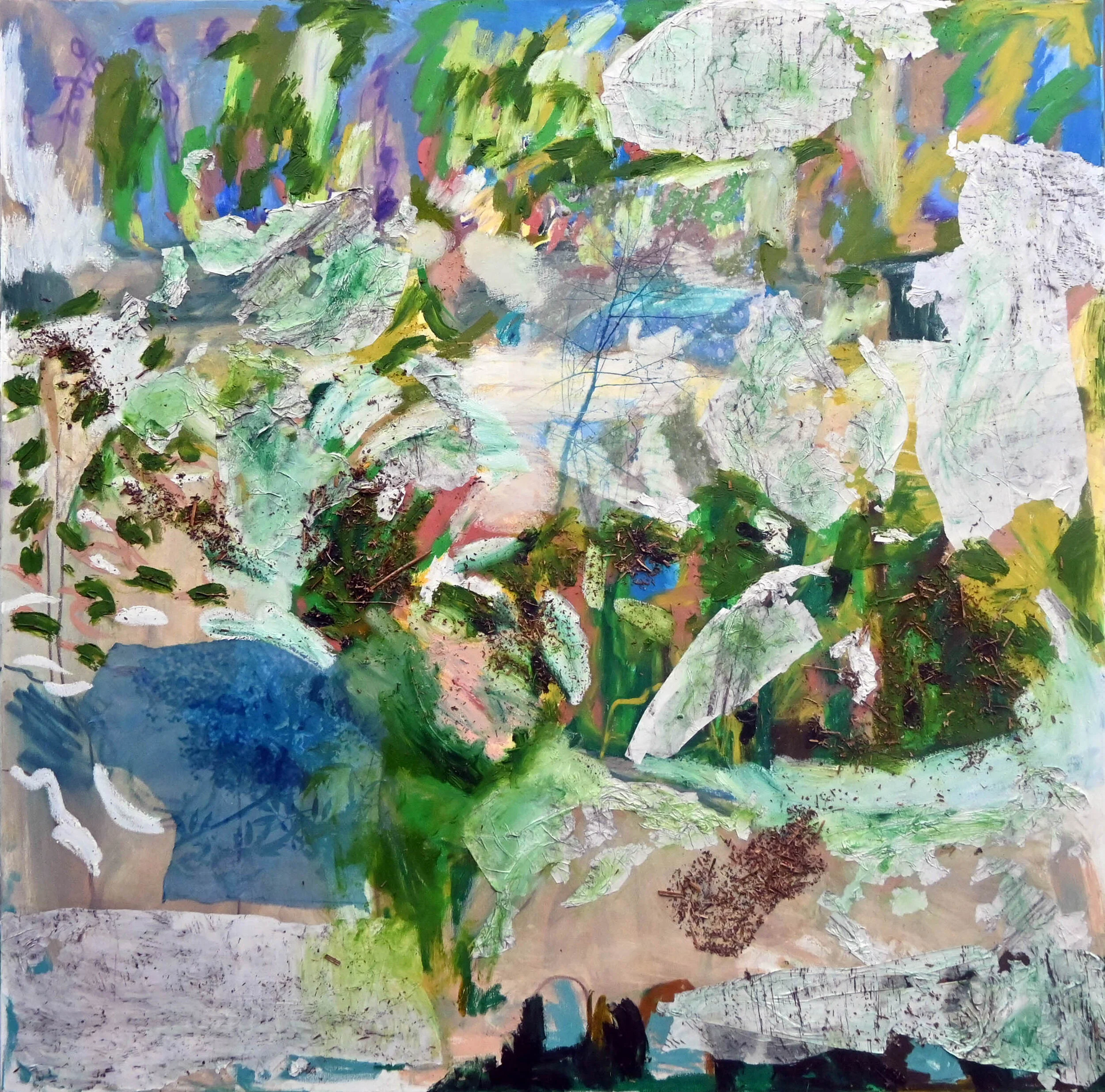 Beech Tree