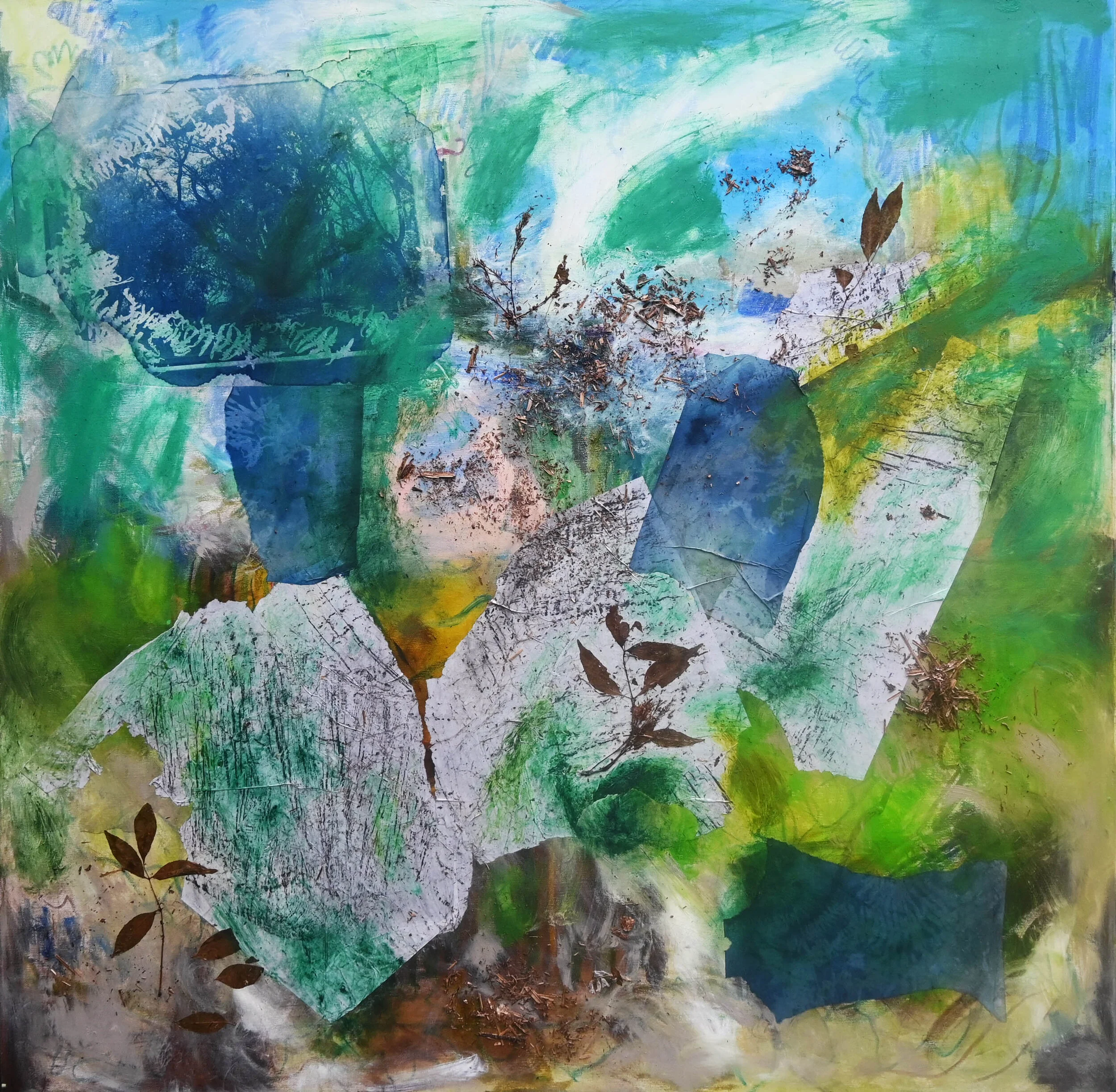 Trees of the woods 