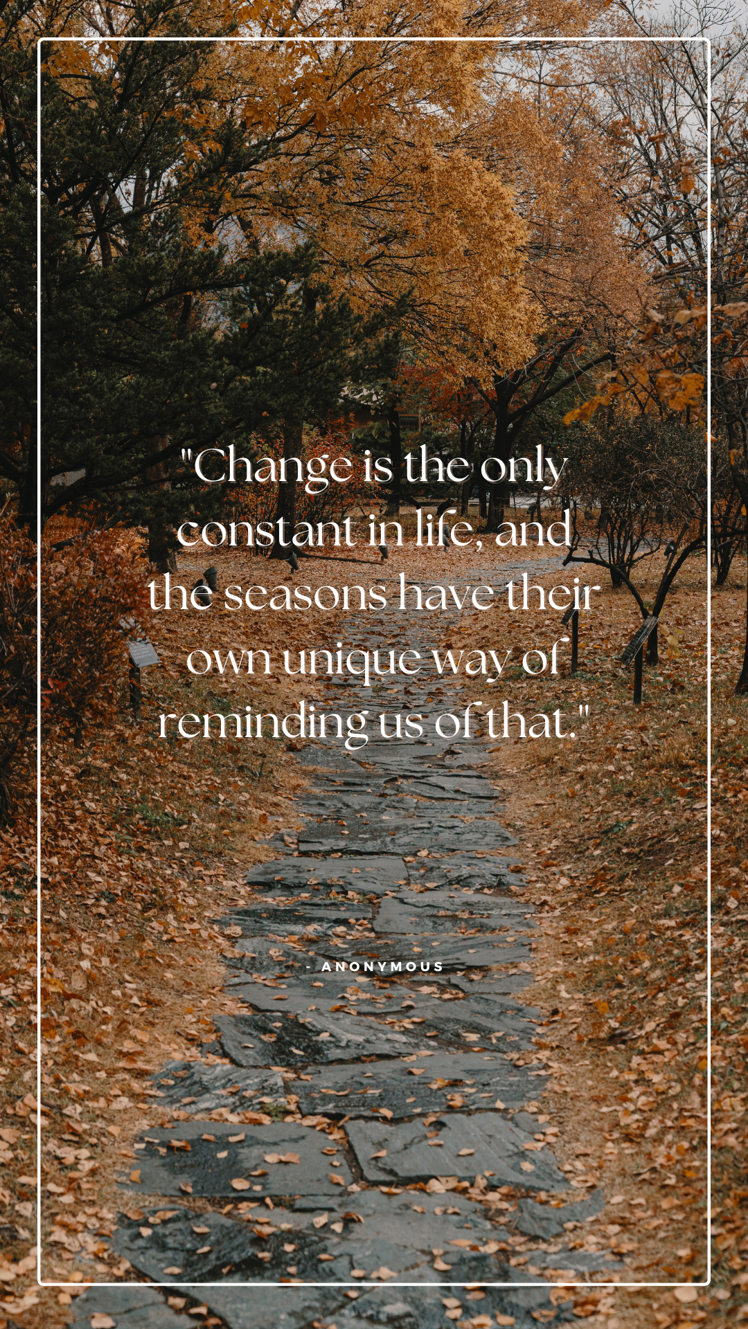 How to embrace change with ease instead of anxiety