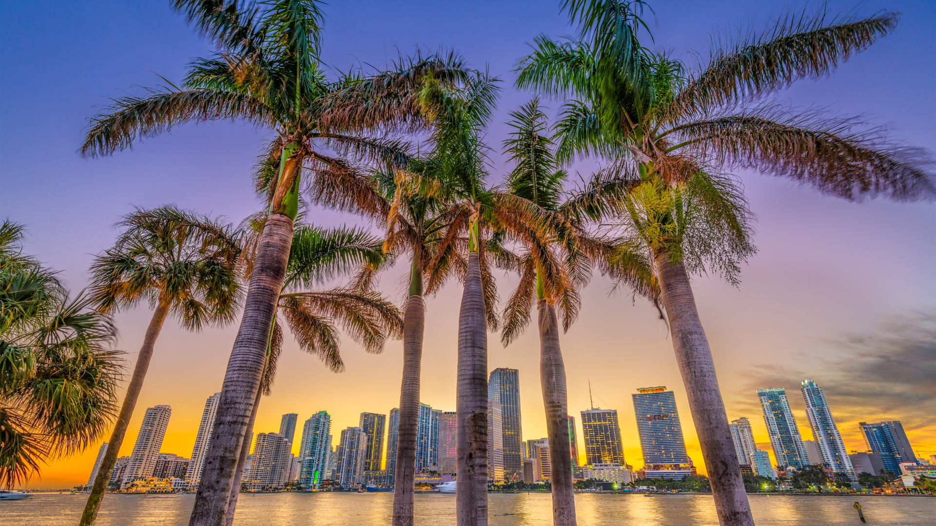 Event Spaces for Rent in Miami: The Boldest Venues for Corporate Events ...