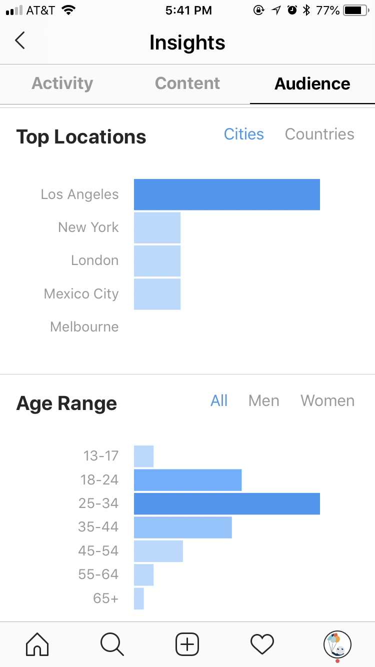 Instagram Account Demographic Data example