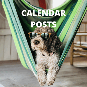 Calendar-Posts.gif