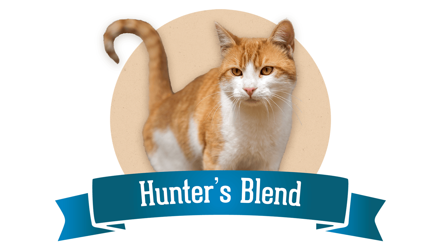 nature's blend cat food