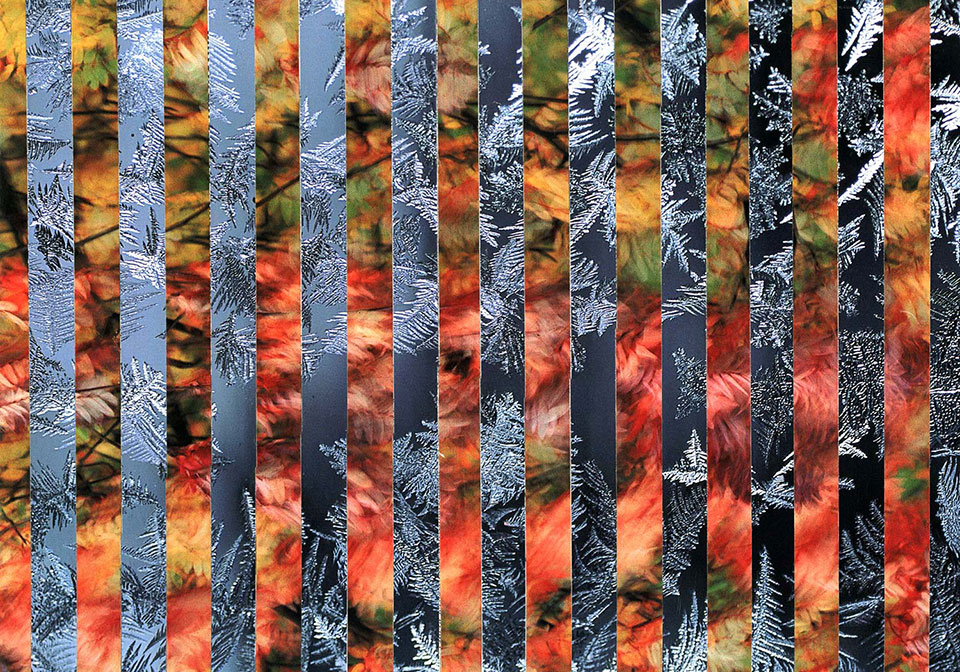 Contrasting Images Collage - Student #3