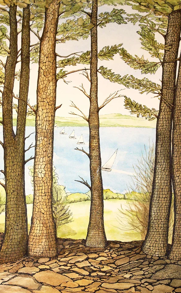 Landscape Project - Student #26