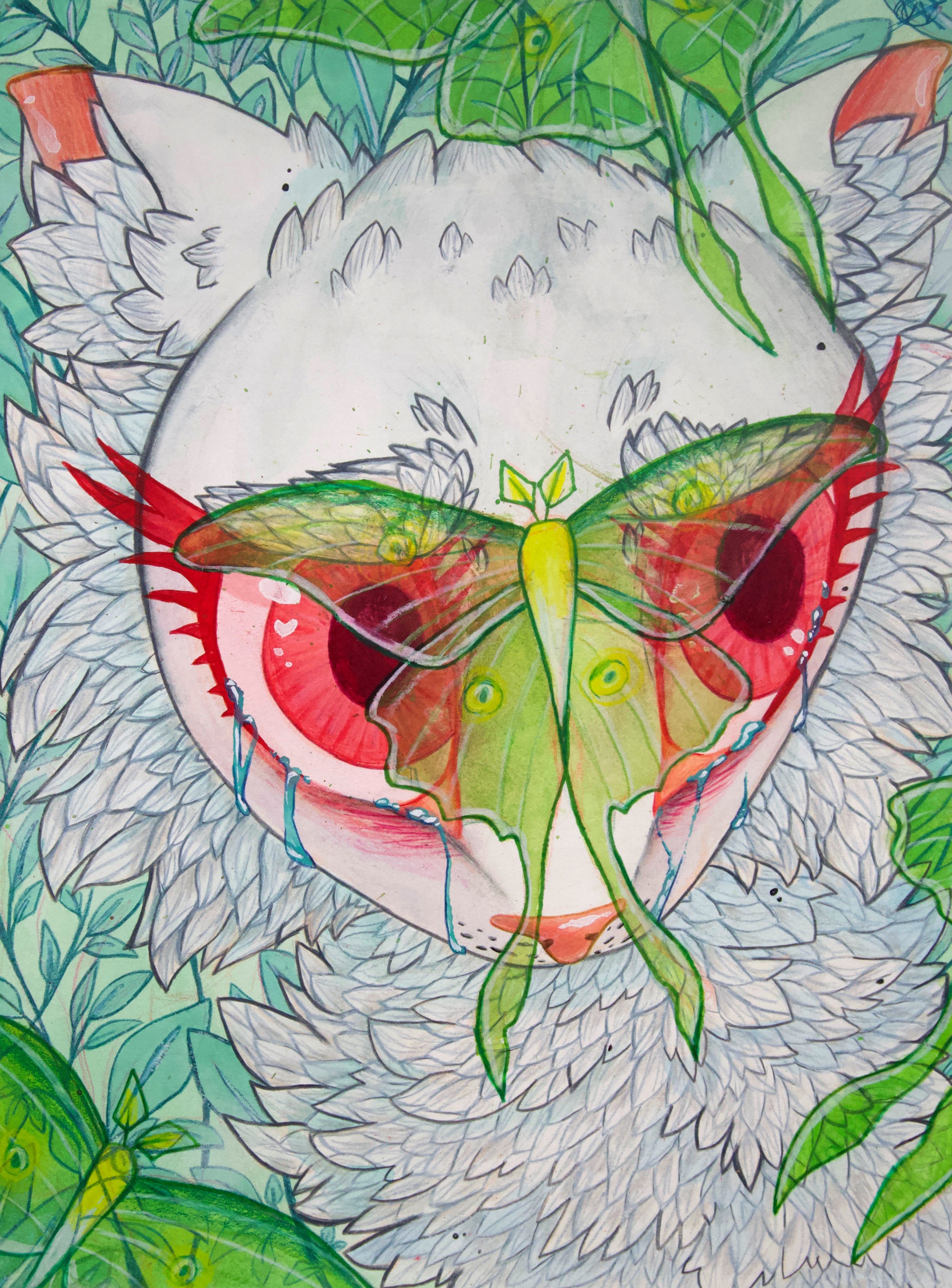Cat and Moths: Painting Illustration Project - Student #30