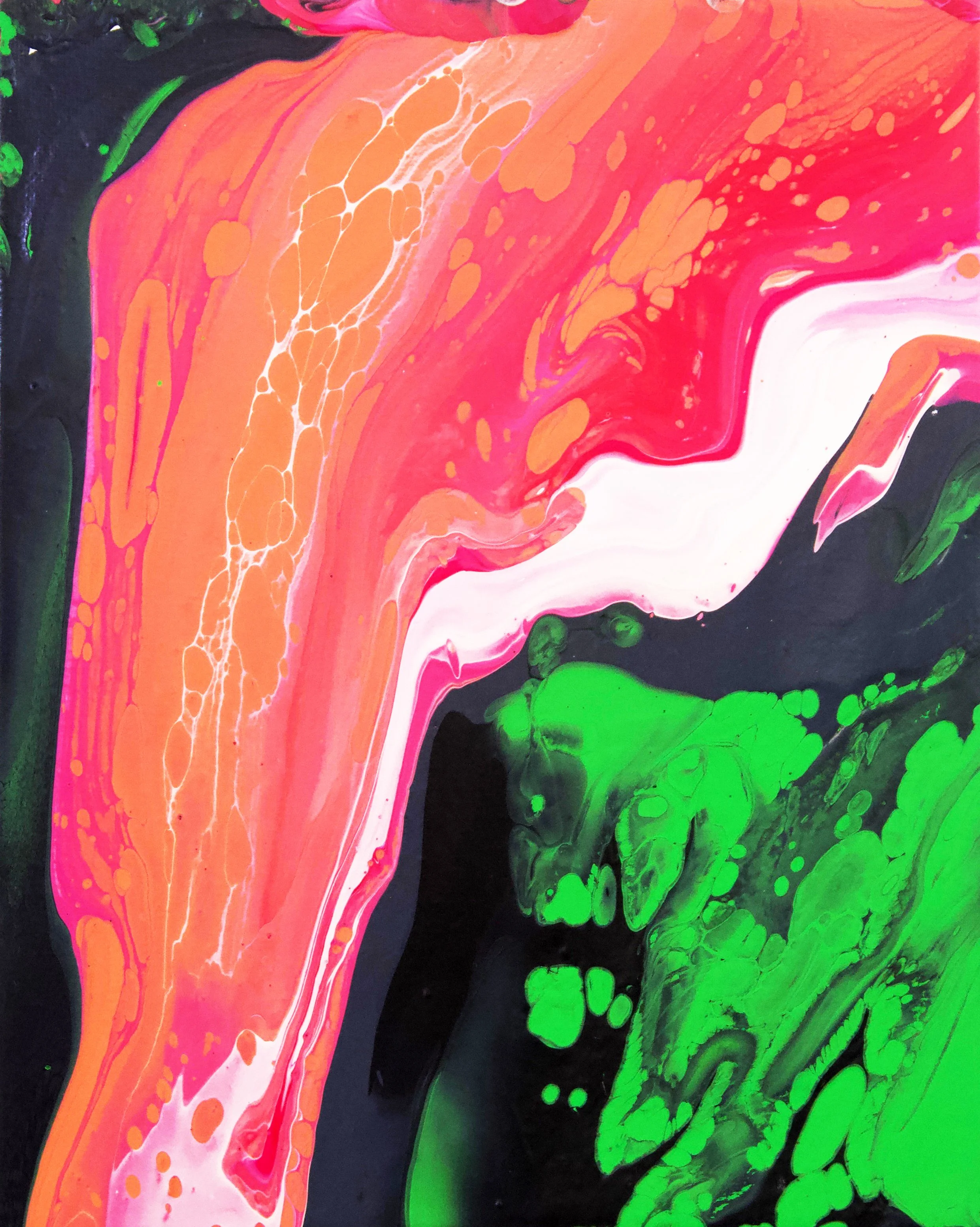 Painting Color Study Project (Orange, Pink, Black, Green) - Student #30