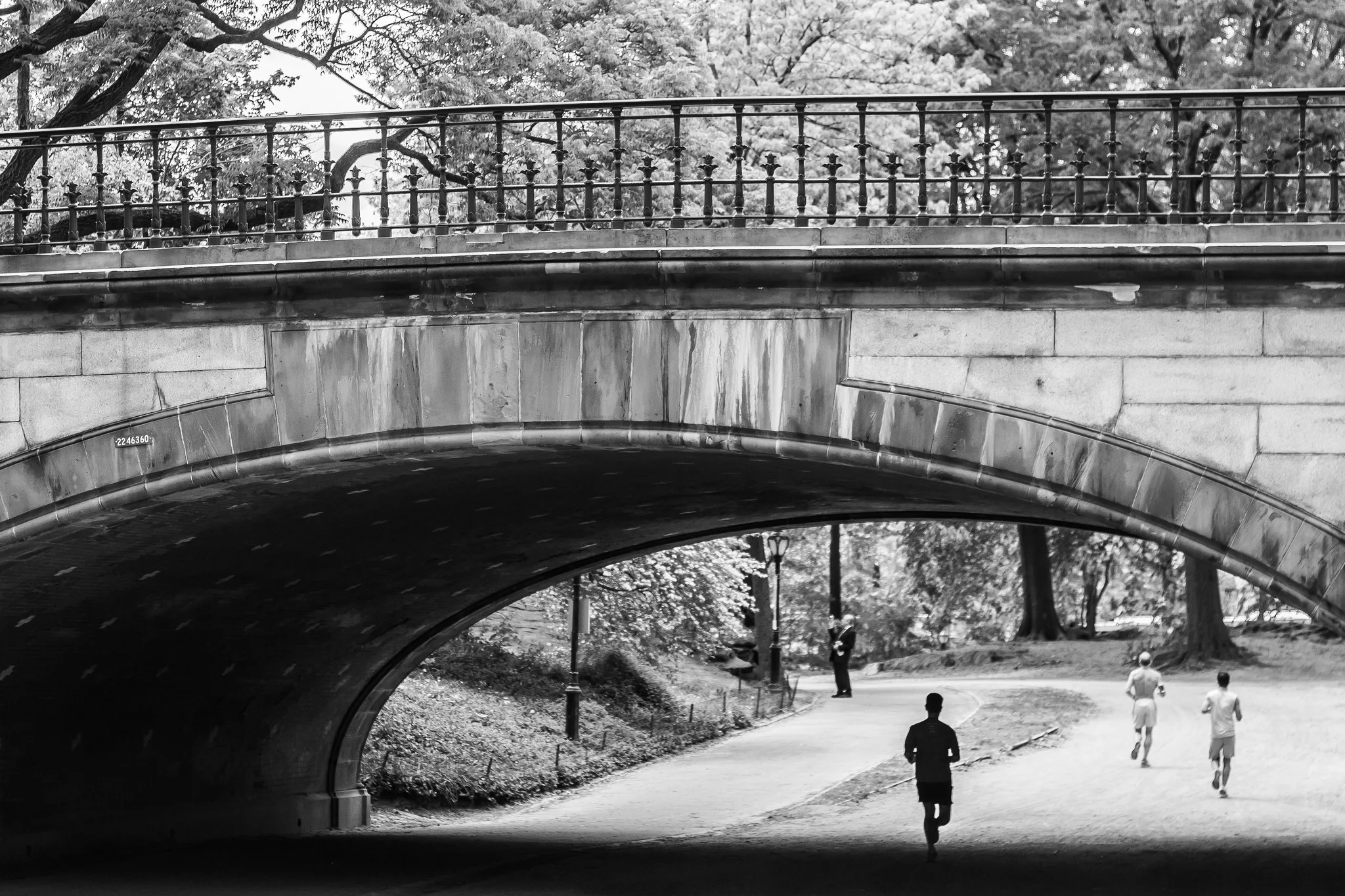 Bridgeblackandwhite.jpg
