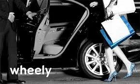 wheely asset 1.jpeg