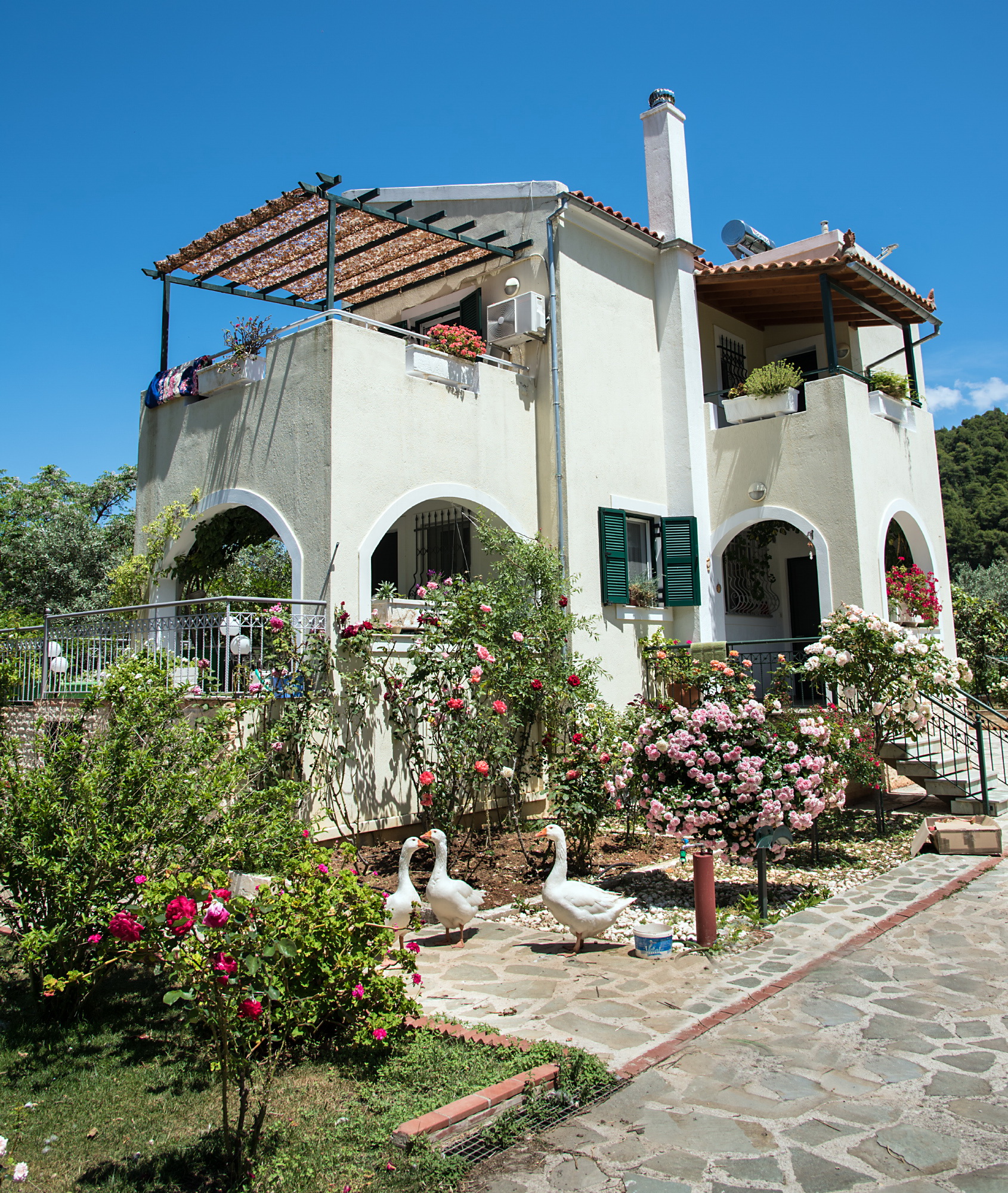 villa loutsa 6.jpg