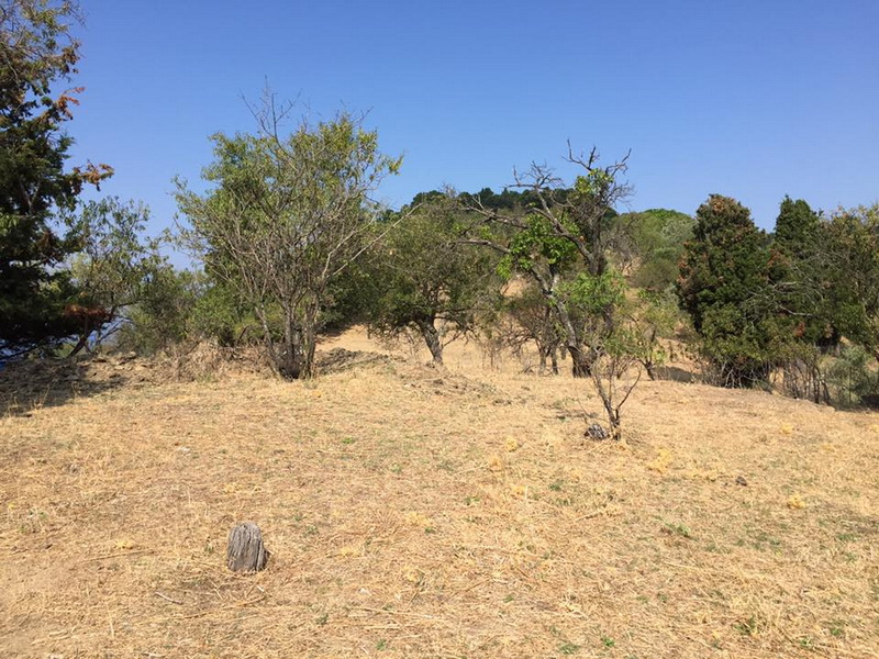 amazing_land-in_glossa_.jpg