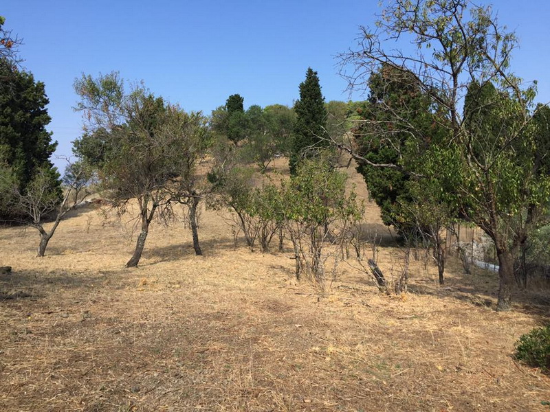 amazing_land-in_glossa_1.jpg