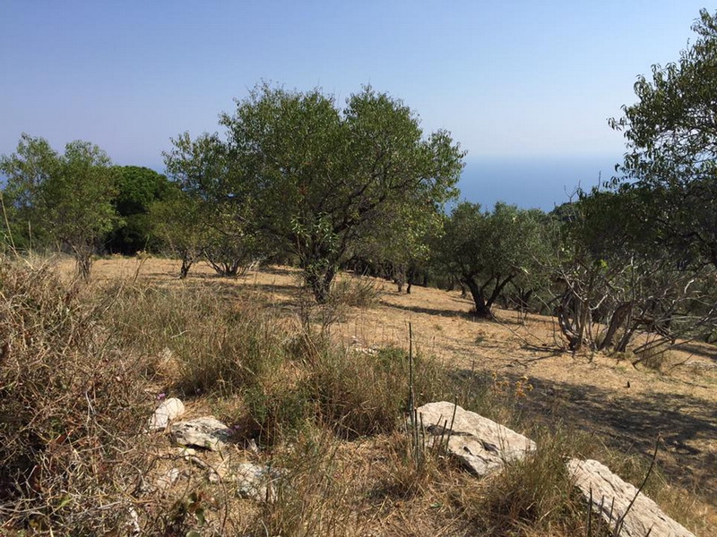 amazing_land-in_glossa_9.jpg