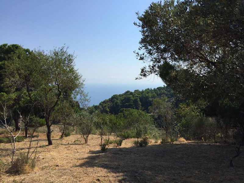amazing_land-in_glossa_14.jpg