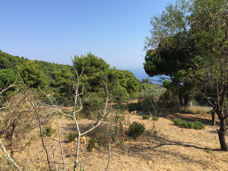 amazing_land-in_glossa_15.jpg