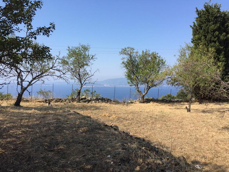 amazing_land-in_glossa_19.jpg