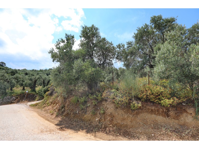 Build_able_land_in_Glyfoneri_Glysteri_with_a_sea_view_8.jpg