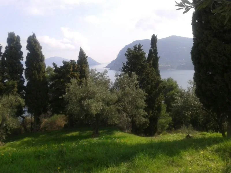 land_above_Glyfoneri_beach.jpg