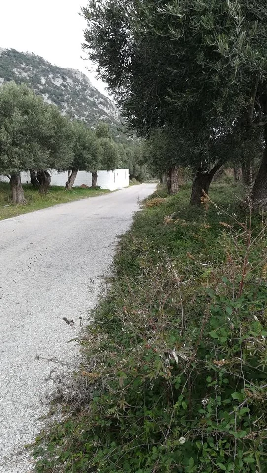 land_close_to_glysteri_beach_3.jpg