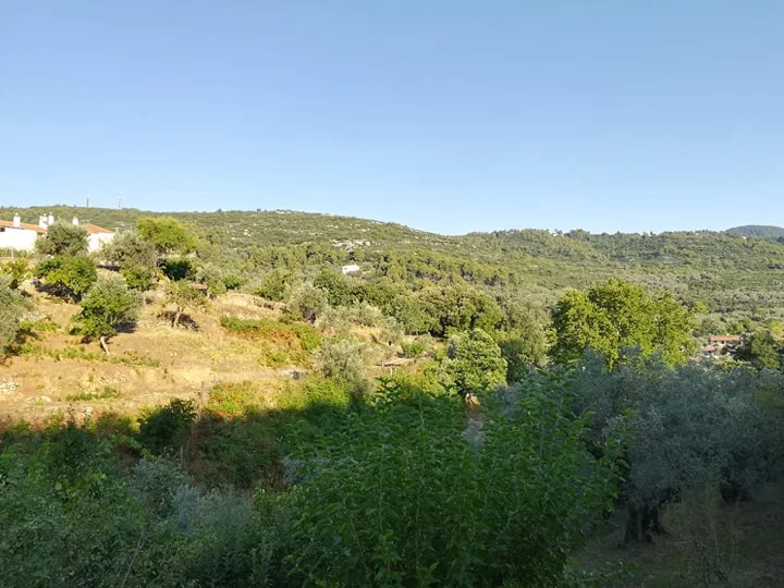 gorgeous_land_with_small_house_7.jpg