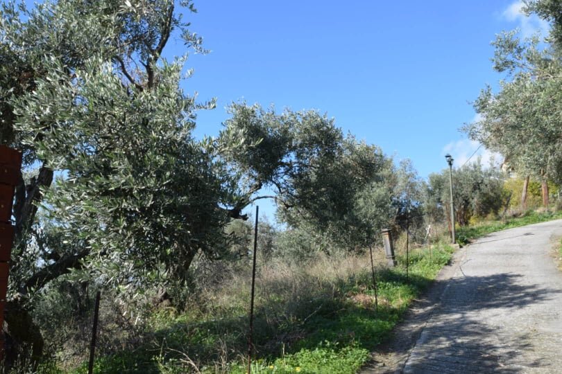 Easy_accesible_land_on_the_road_to_Loutraki_road_access.jpg
