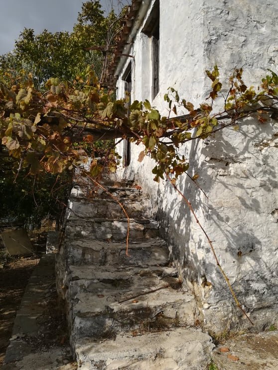 romantic_farmhouse_close_to_skopelos_town_stairs.jpg