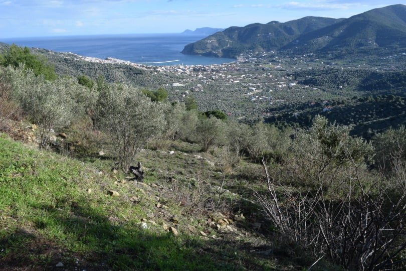 land_close_to_skopelos_with_a_seaview_land.jpg