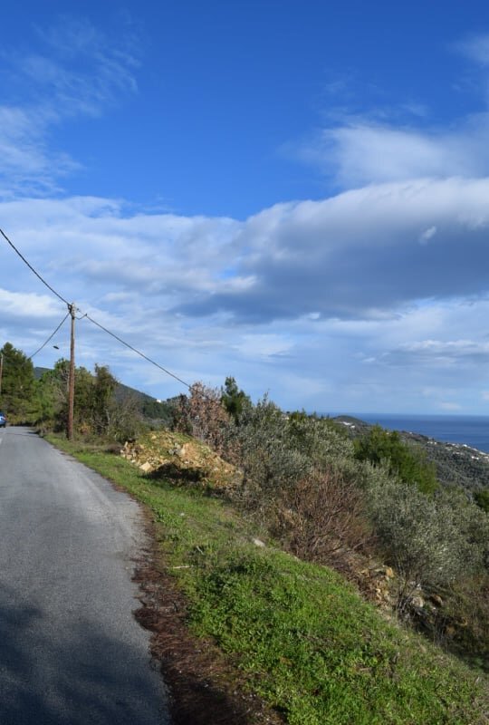 land_close_to_skopelos_with_a_seaview_road.jpg