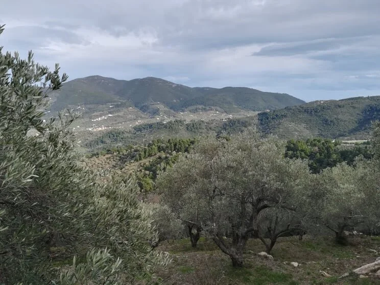 land_close_to_skopelos_with_a_seaview_village_clouds.jpg