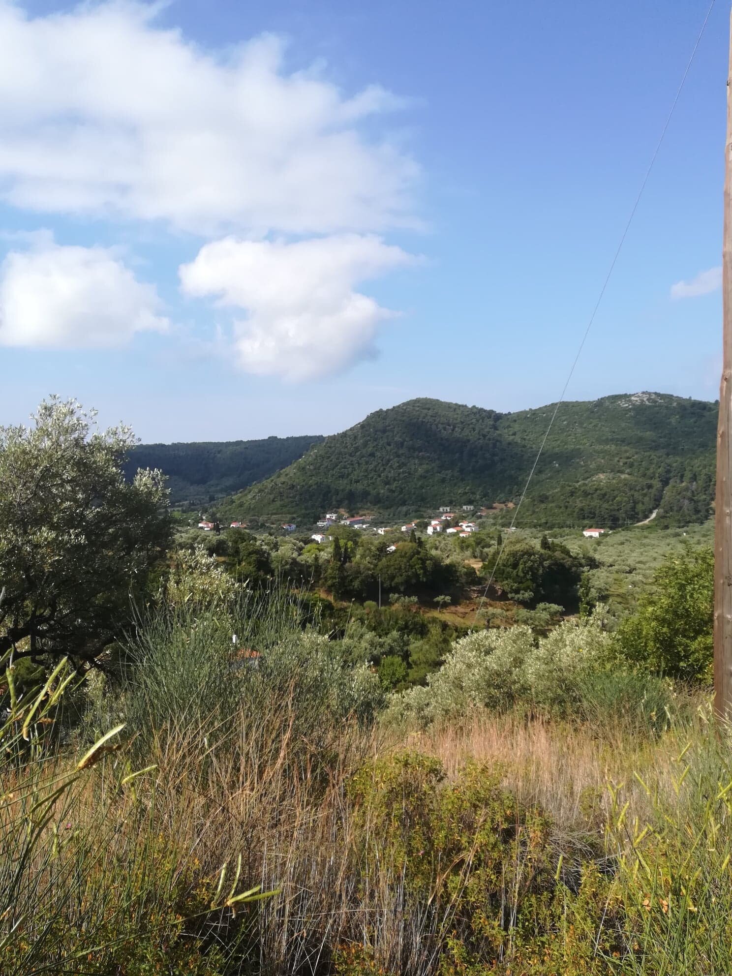 opportunity_to_buy_land_close_to_skopelos_green.jpg