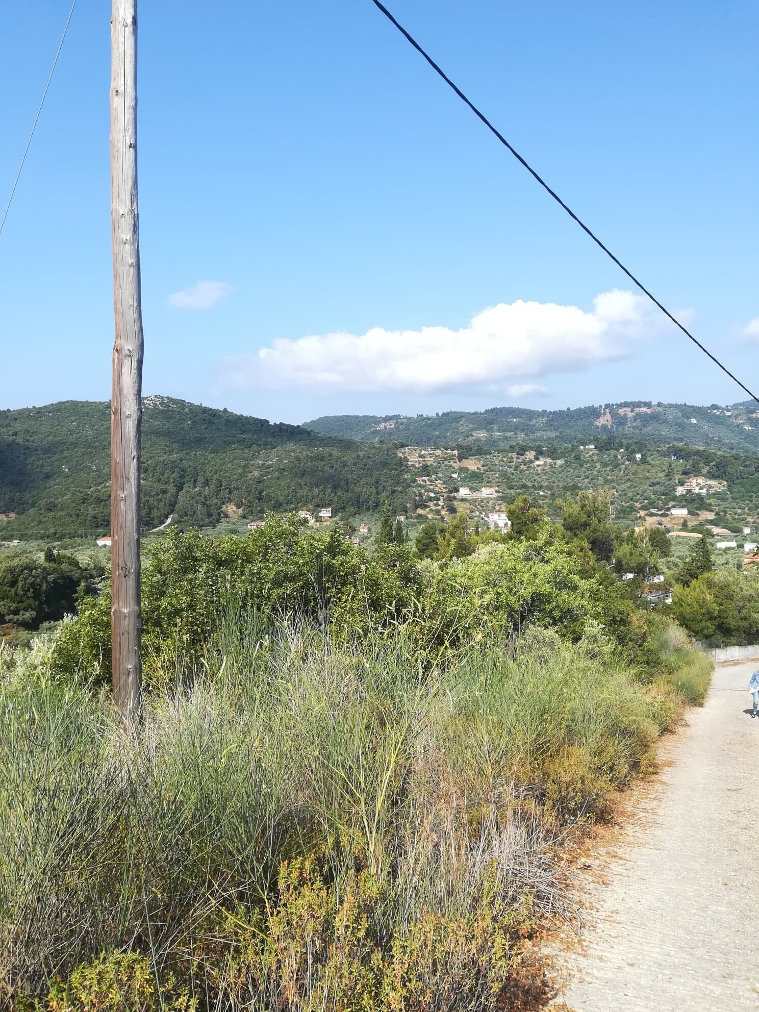 opportunity_to_buy_land_close_to_skopelos_road.jpg