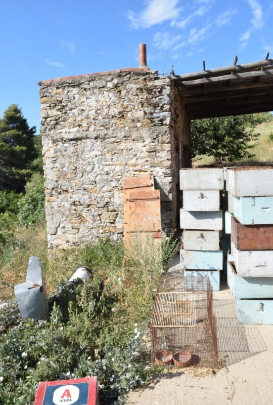 Land_and_farmhouses_with_a_sea_view_bees.jpg
