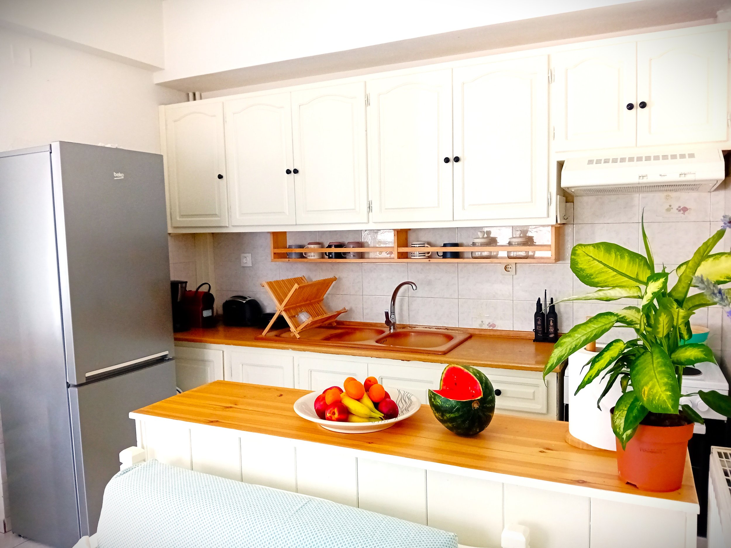 spacious_house_with_garden_kitchen.jpg